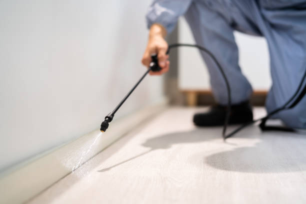 Licensed Fumigation Services service in Fritz Creek, AK - Nex Pest Control