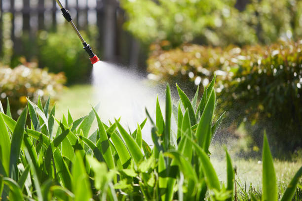 24/7 Emergency Fumigation Services experts in Fritz Creek, AK
