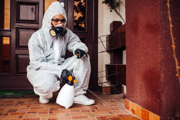Reliable Fumigation Services contractor in Fritz Creek, AK by Nex Pest Control