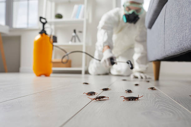 Trusted Cockroach Control service in Fritz Creek, AK - Nex Pest Control